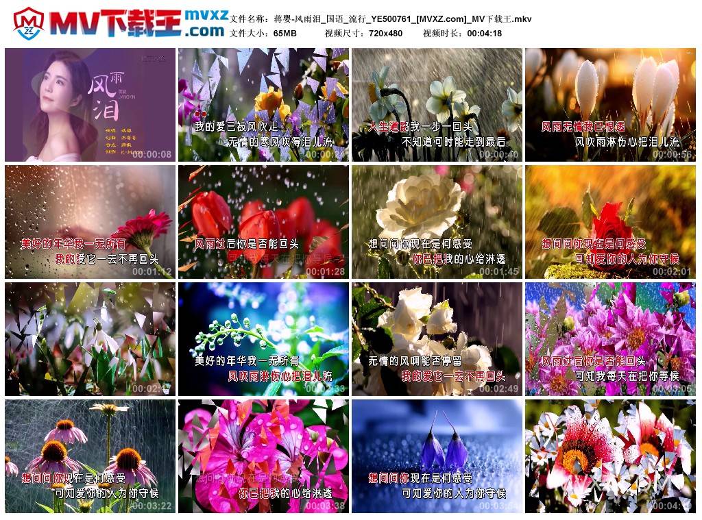 蒋婴-风雨泪_国语_流行_YE500761